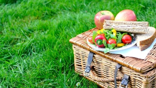 Picnic in The Park